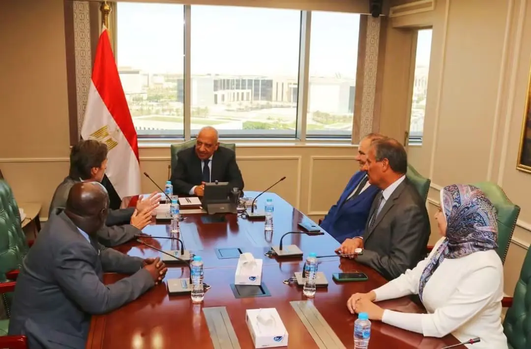 وزير الكهرباء يبحث مع السكرتير العام والرئيس التنفيذي للمنظمة الدولية للمواصفات الكهروتقنية "IEC" سبل التعاون المشترك - 1000014921