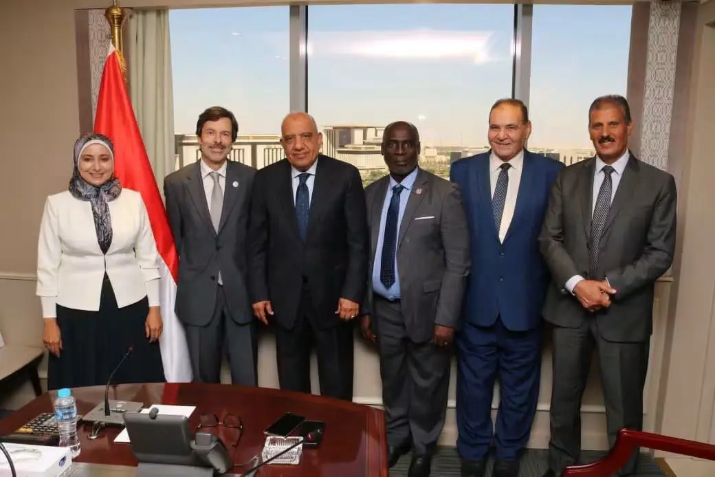 وزير الكهرباء يبحث مع السكرتير العام والرئيس التنفيذي للمنظمة الدولية للمواصفات الكهروتقنية "IEC" سبل التعاون المشترك - 1000014922