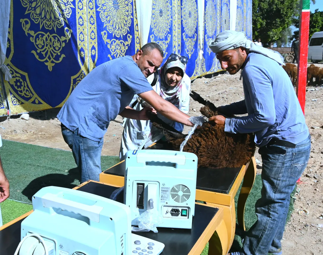 وزير الزراعة من أبو المطامير: التعدي على الأرض الزراعية خط أحمر - 1000128730