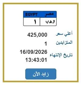 بـ425 ألف جنيه.. لوحة سيارة مميزة تثير الجدل في مزاد المرور - 1000129450
