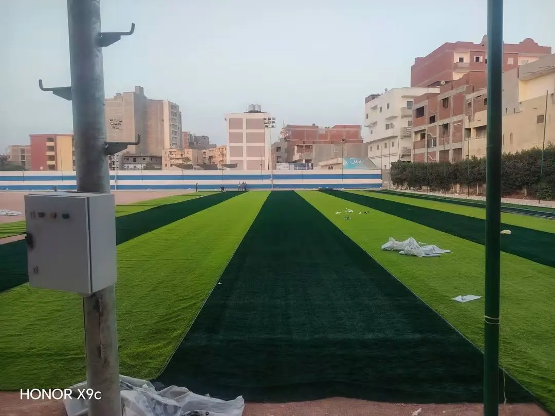 حلم شباب حوش عيسى يتحقق.. بدء فرد النجيل الصناعي بالملعب - 1000189675