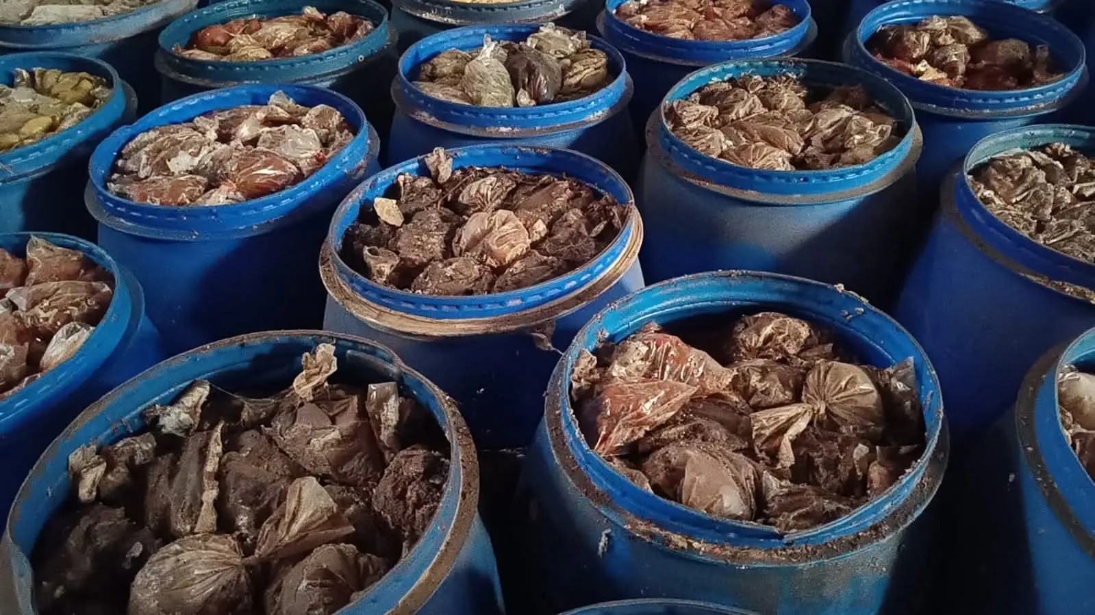 ضبط 315 طن مجهولة المصدر وغير صالحة للاستهلاك الآدمى بالمنوفية
