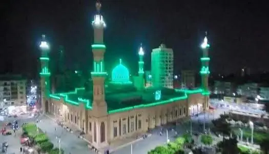 نفحات خضراء" تُنبت الحياة في دسوق.. 2000 شجرة تعيد التوازن البيئي لمدينة الأولياء