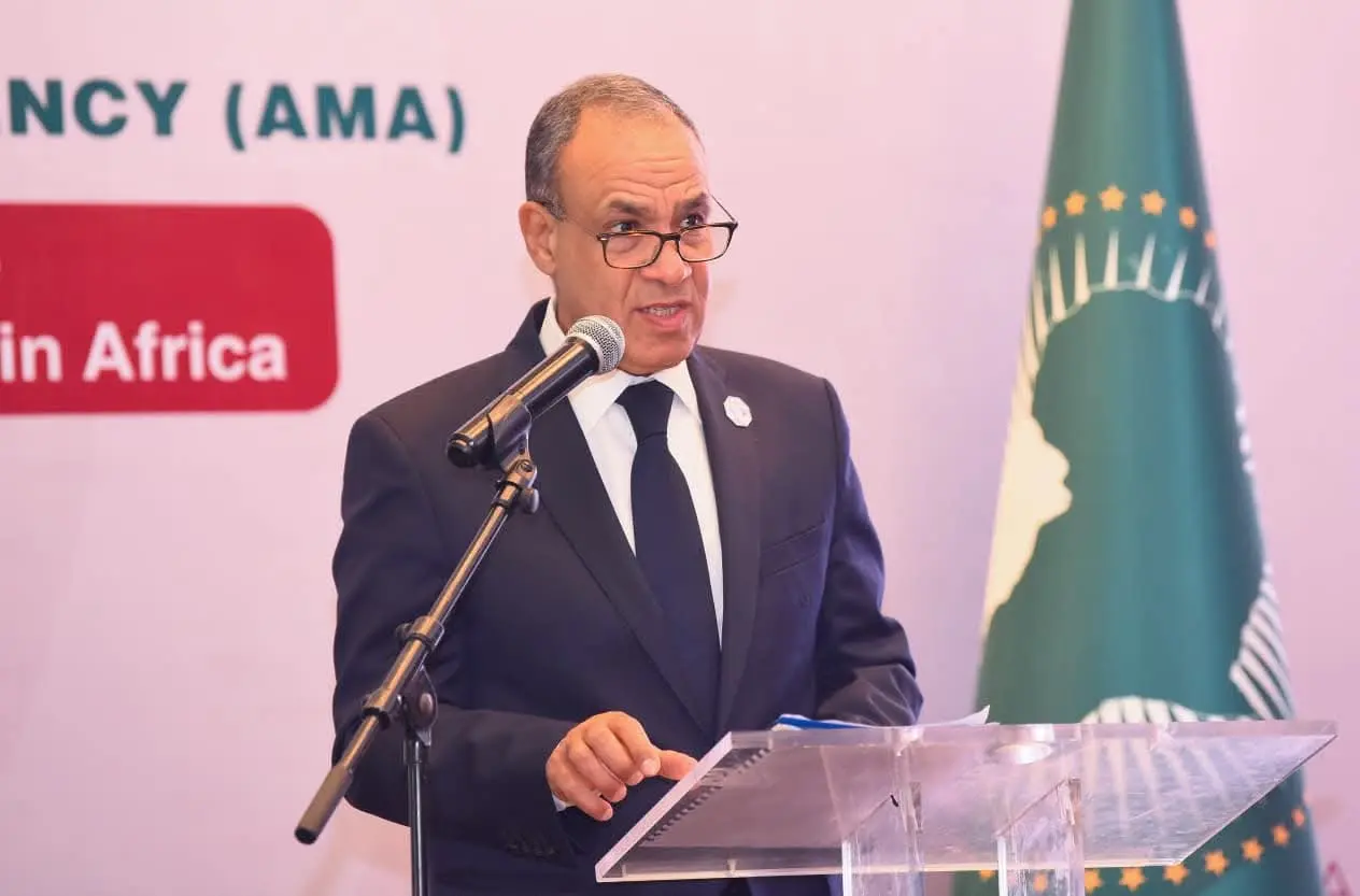 وزير الخارجية: الرئيس طرح خريطة للتعامل مع الأزمات والتحديات بأفريقيا