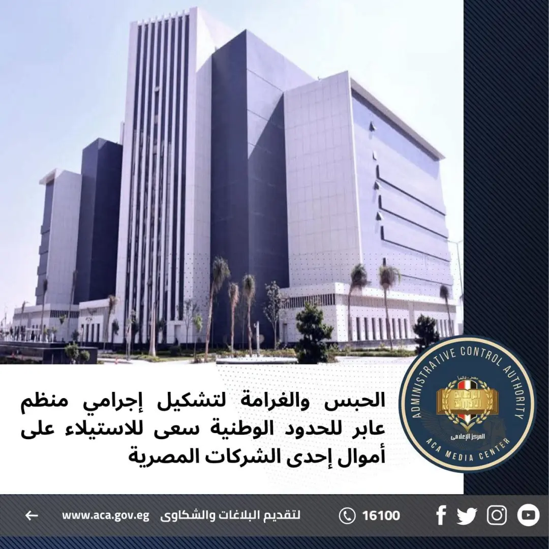 الحبس والغرامة لتشكيل إجرامي منظم عابر للحدود الوطنية سعى للاستيلاء على أموال إحدى الشركات