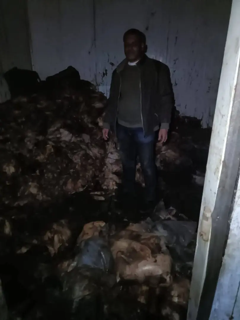 ضبط 42 طنًا من مصنعات اللحوم والأحشاء والرؤوس الحيوانية والدواجن الفاسدة بالجيزة - 1000257738