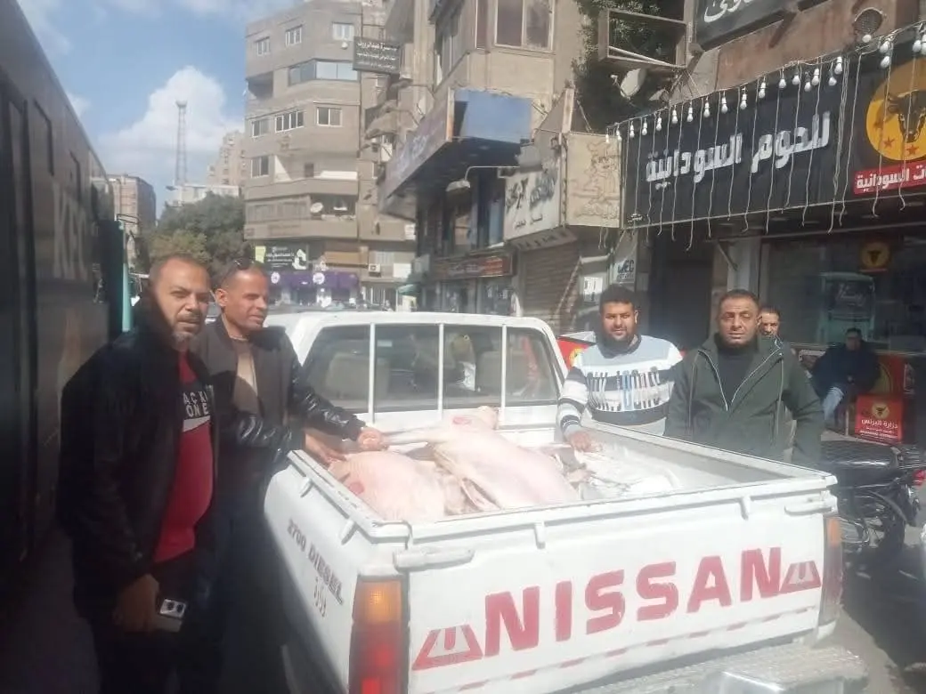 ضبط 42 طنًا من مصنعات اللحوم والأحشاء والرؤوس الحيوانية والدواجن الفاسدة بالجيزة
