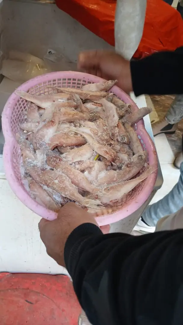 إعدام كمية من السلع منتهية الصلاحية بالشهداء وأشمون - 1000267652