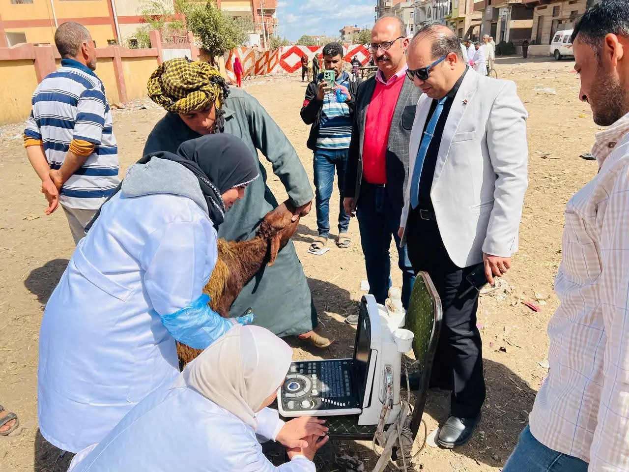 قوافل طبية بيطرية مجانية بالدقهلية..عالجت 350 رأس ماشية - 1000268534