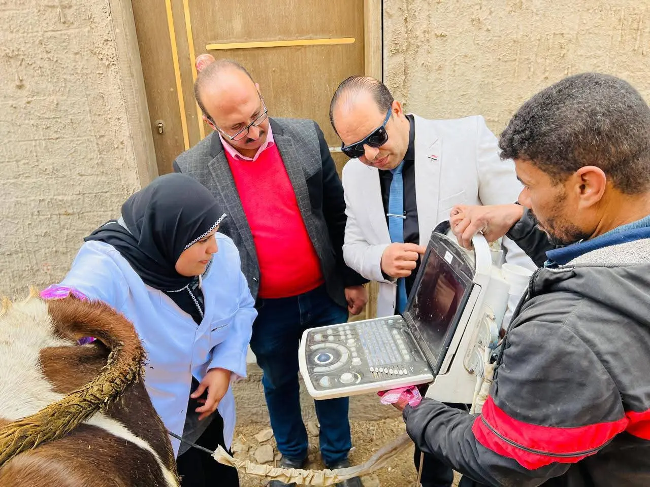 قوافل طبية بيطرية مجانية بالدقهلية..عالجت 350 رأس ماشية - 1000268535