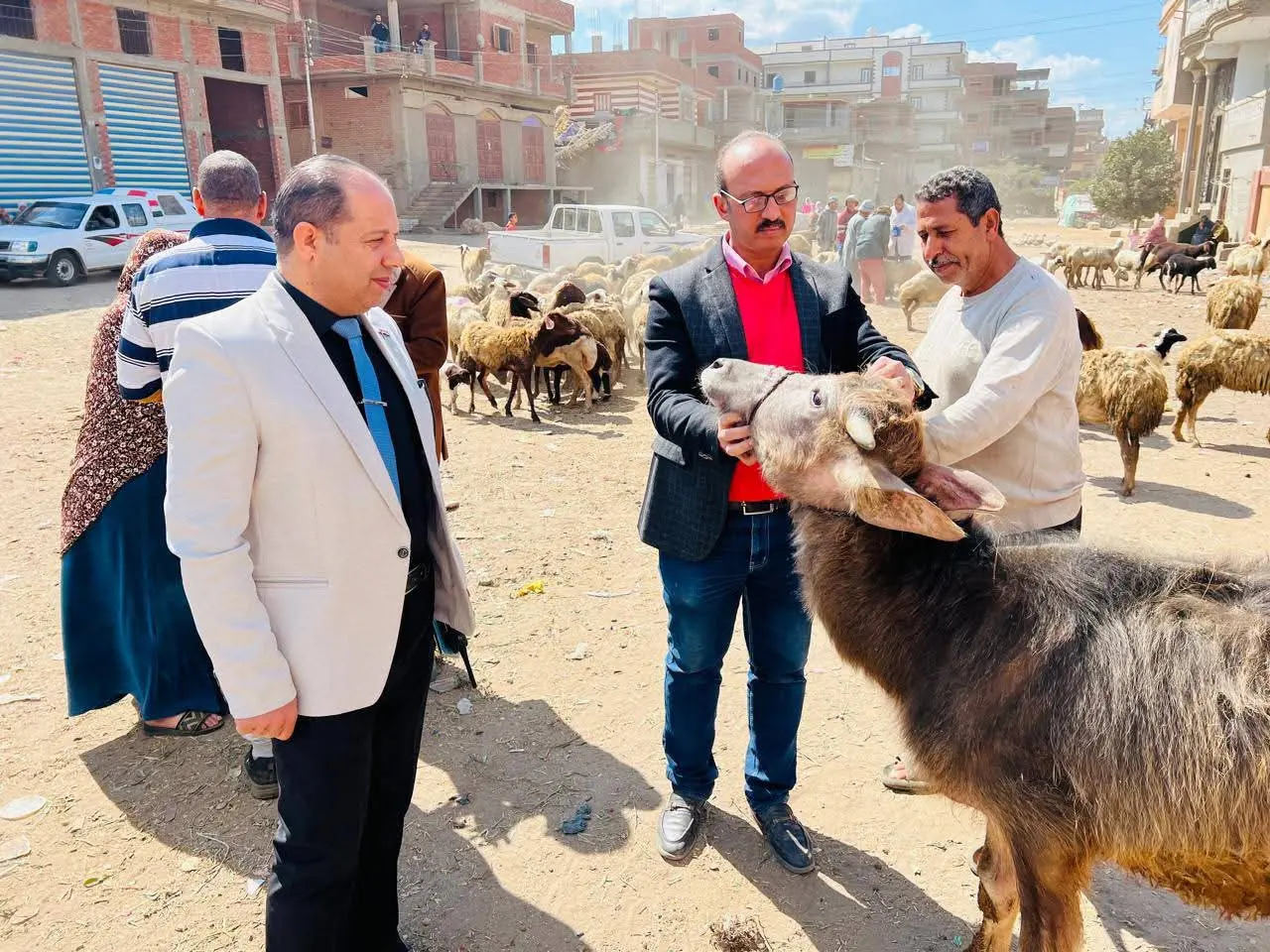 قوافل طبية بيطرية مجانية بالدقهلية..عالجت 350 رأس ماشية - 1000268536