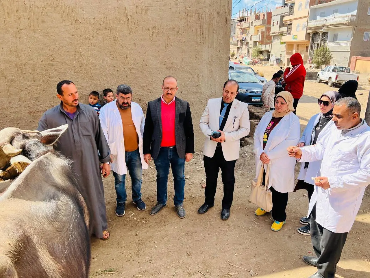قوافل طبية بيطرية مجانية بالدقهلية..عالجت 350 رأس ماشية