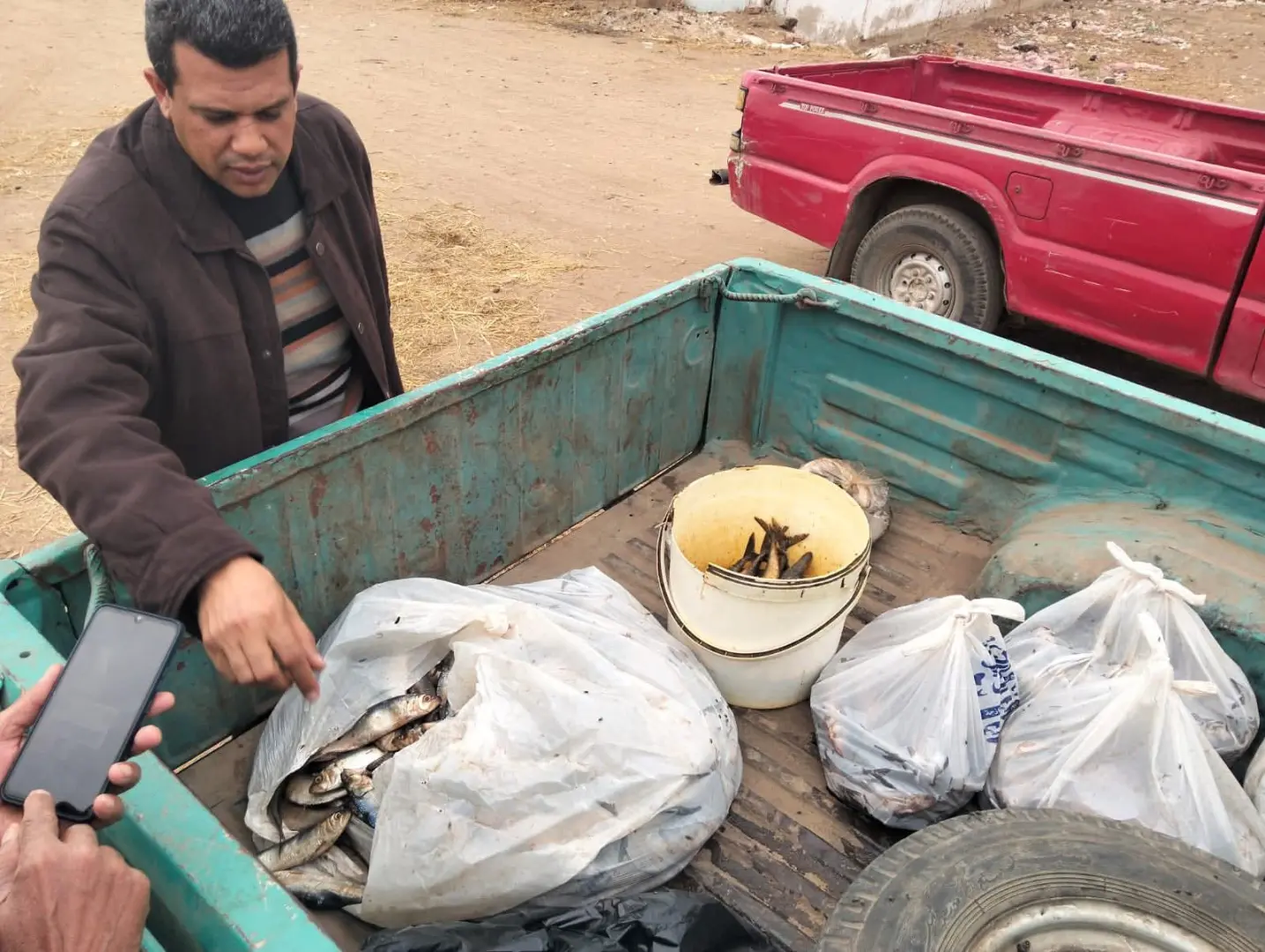ضبط 4 أطنان دقيق مدعم قبل بيعها بالسوق السوداء بالشهداء منوفية - 1000275374