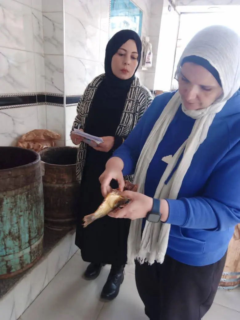 ضبط 1.2 طن أسماك وفسيخ غير صالحة بالدقهلية - 1000279510