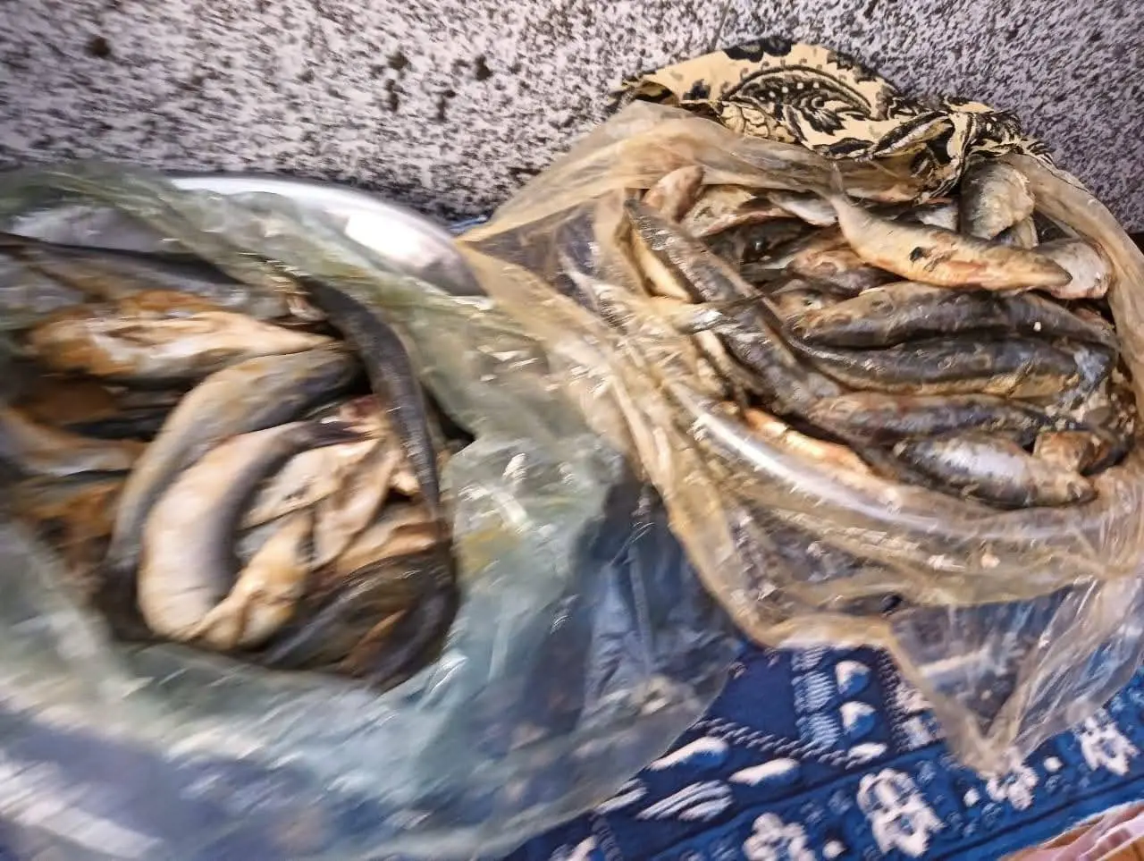 تحرير 214 محضر مخالفات مخابز وأسواق وضبط 160 كجم أسماك غير صالحة للإستهلاك بالمنوفية