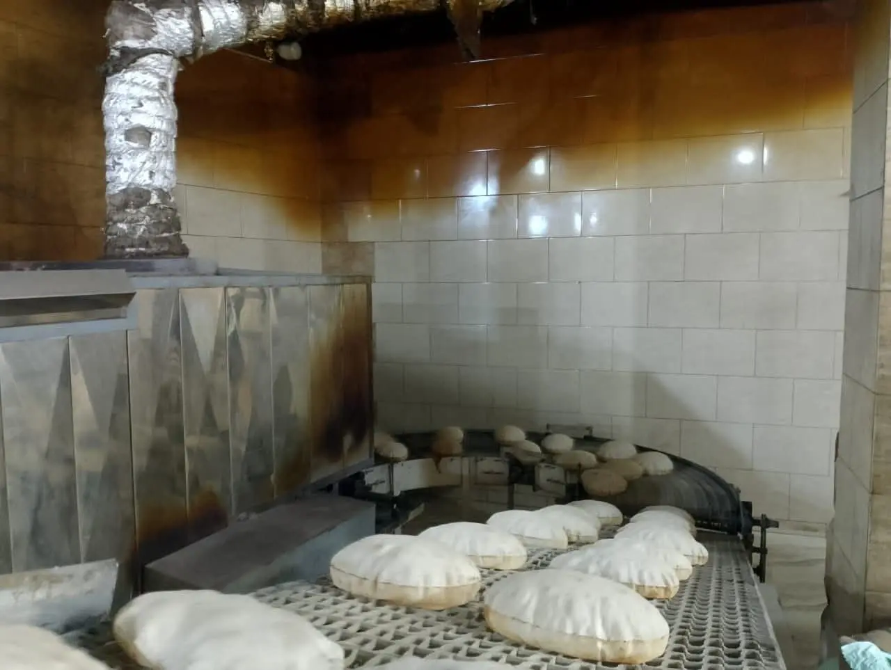 تحرير 214 محضر مخالفات مخابز وأسواق وضبط 160 كجم أسماك غير صالحة للإستهلاك بالمنوفية - 1000281952