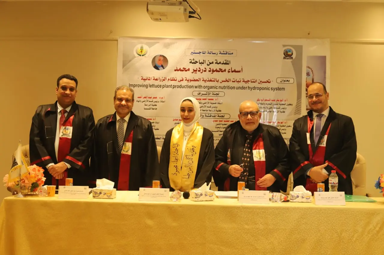 رسالة ماجستير بجامعة قنا تناقش تحسين إنتاجية الخس بالتغذية العضوية في الزراعة المائية