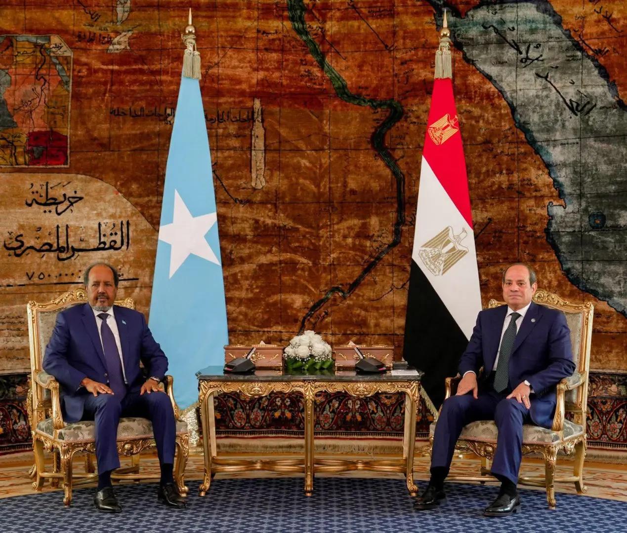 الرئيس السيسي ونظيره الصومالي يبحثان سبل تعزيز التعاون الثنائي والأمن الإقليمي