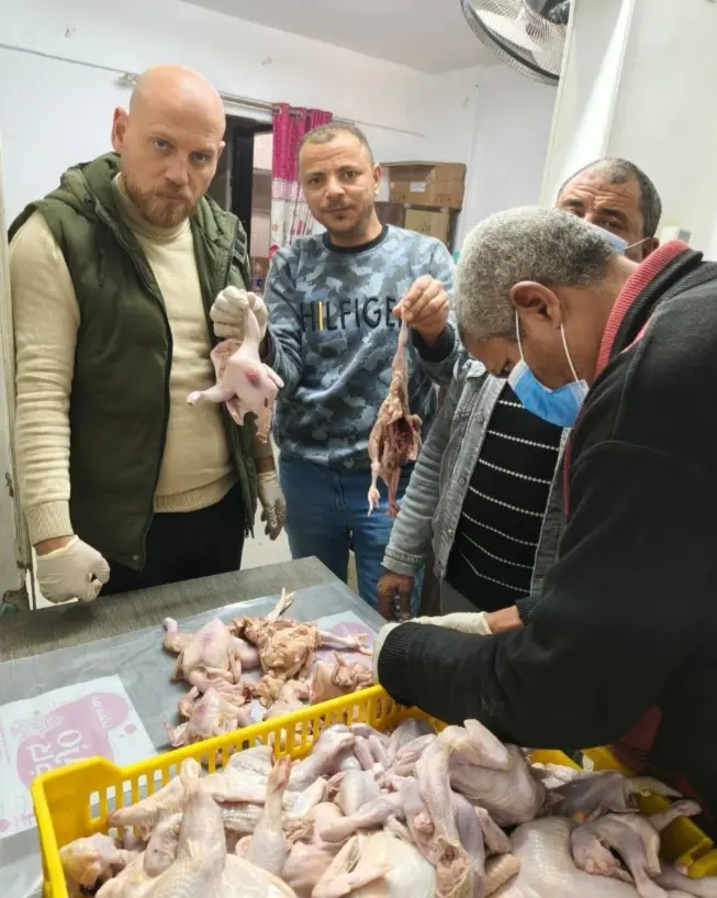 الـ«4 فرخات بـ200 جنيه».. ضبط 71 دجاجة مصابة بأمراض خطيرة في بني سويف - 1000417965