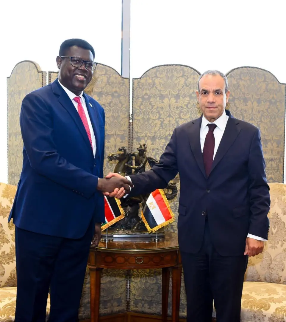 وزير الخارجية يستقبل نظيره الجنوب سوداني ويبحثان سبل تعزيز العلاقات الثنائية - 1000425335