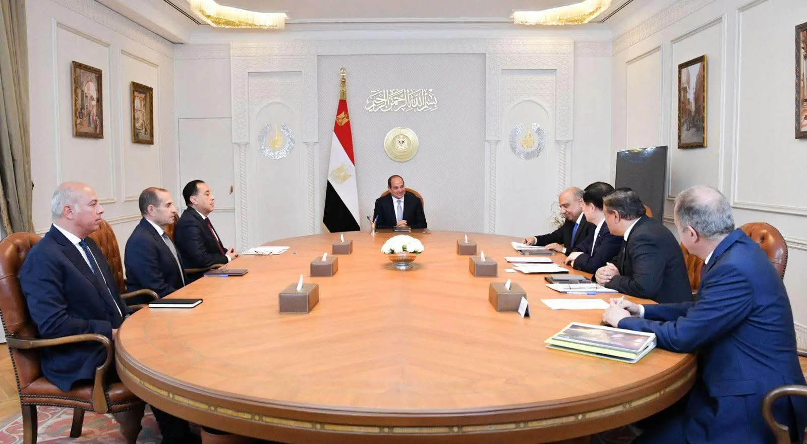 السيسي يبحث مع رئيس شركة GCL الصينية توطين صناعة الطاقة المتجددة في مصر