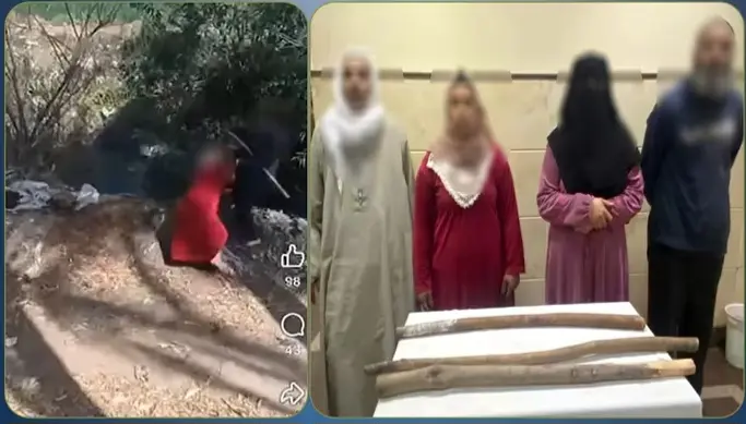 كشف ملابسات فيديو التعدي على سيدة وإلقائها بمصرف مائي في البحيرة - 1000428629