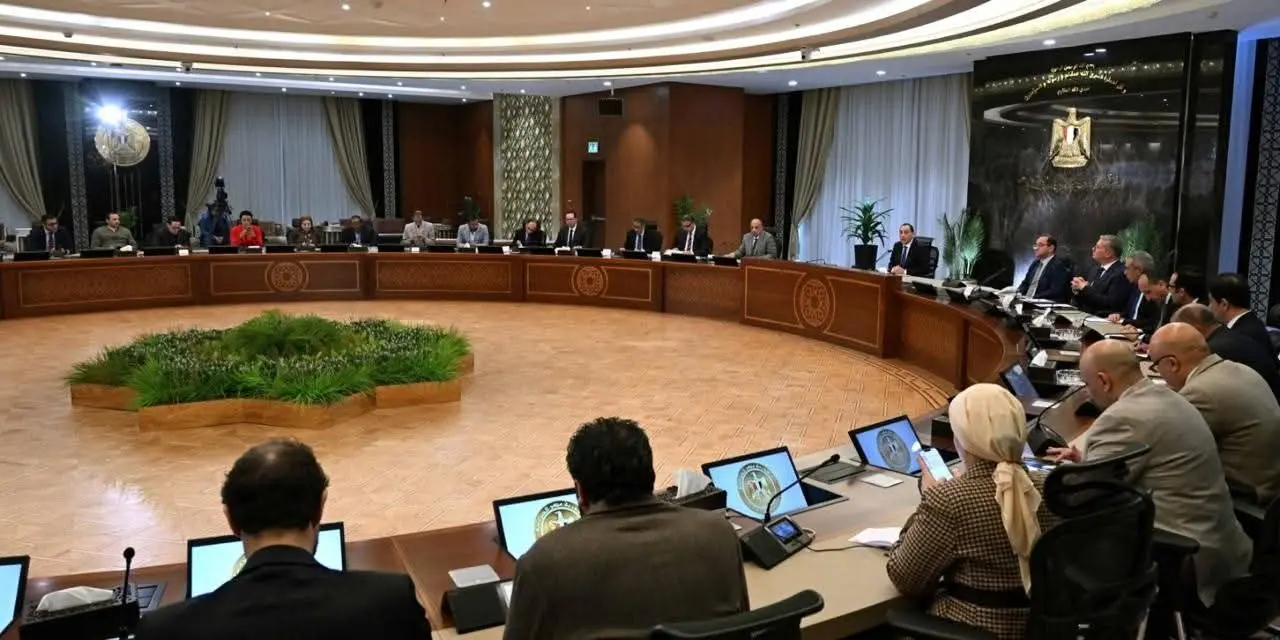 مدبولي: تأمين احتياجات الدولة من السلع الاستراتيجية لعدة شهور ولن يحدث انقطاع للتيار الكهربائي أو توقف لإمدادات الغاز - 1000439466