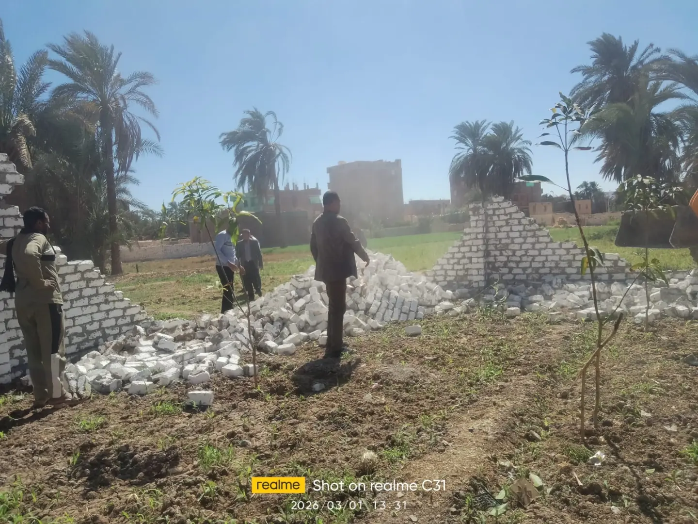 إزالة 98 حالة تعدٍ على الأراضي بمراكز “قنا ودشنا ونقادة وفرشوط” - 1000446482