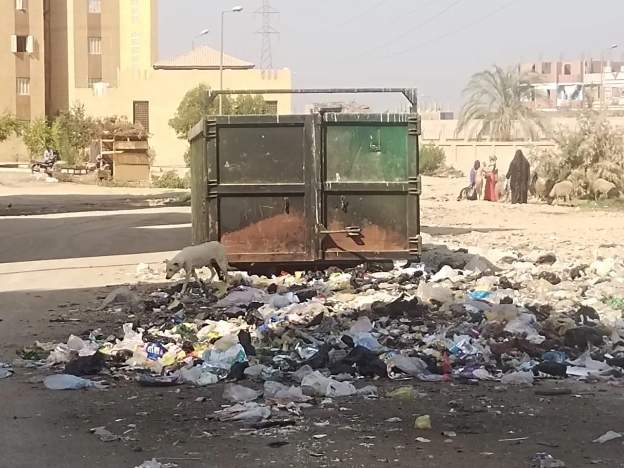 حملة نظافة مكبرة بنجع حمادي تنجح في رفع 59 طنًا من المخلفات والتراكمات - 1000490353