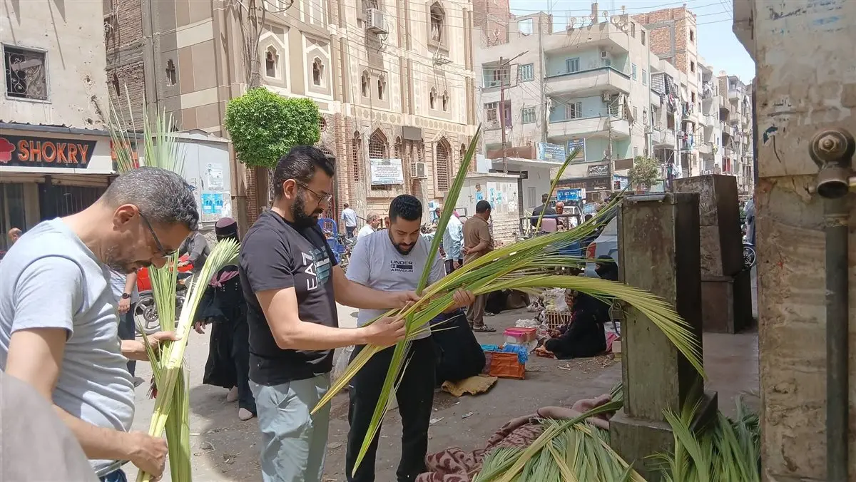 قنا تحتفل بسعف النخيل استعدادًا لـ«أحد الشعانين» وعيد القيامة المجيد - 1000516517