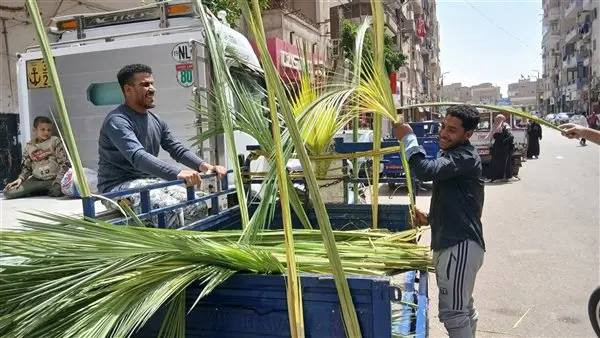 قنا تحتفل بسعف النخيل استعدادًا لـ«أحد الشعانين» وعيد القيامة المجيد - 1000516518
