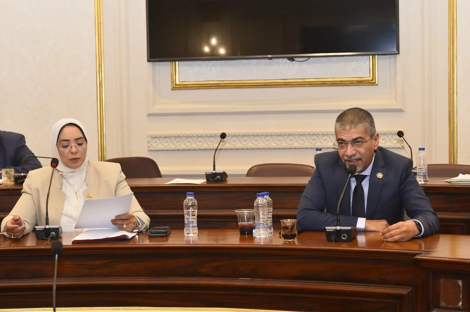 النائبة وفاء رشاد تطالب بتوفير علاج الهيموفيليا في مراكز قنا وتخفيف معاناة المرضى - 1000521088