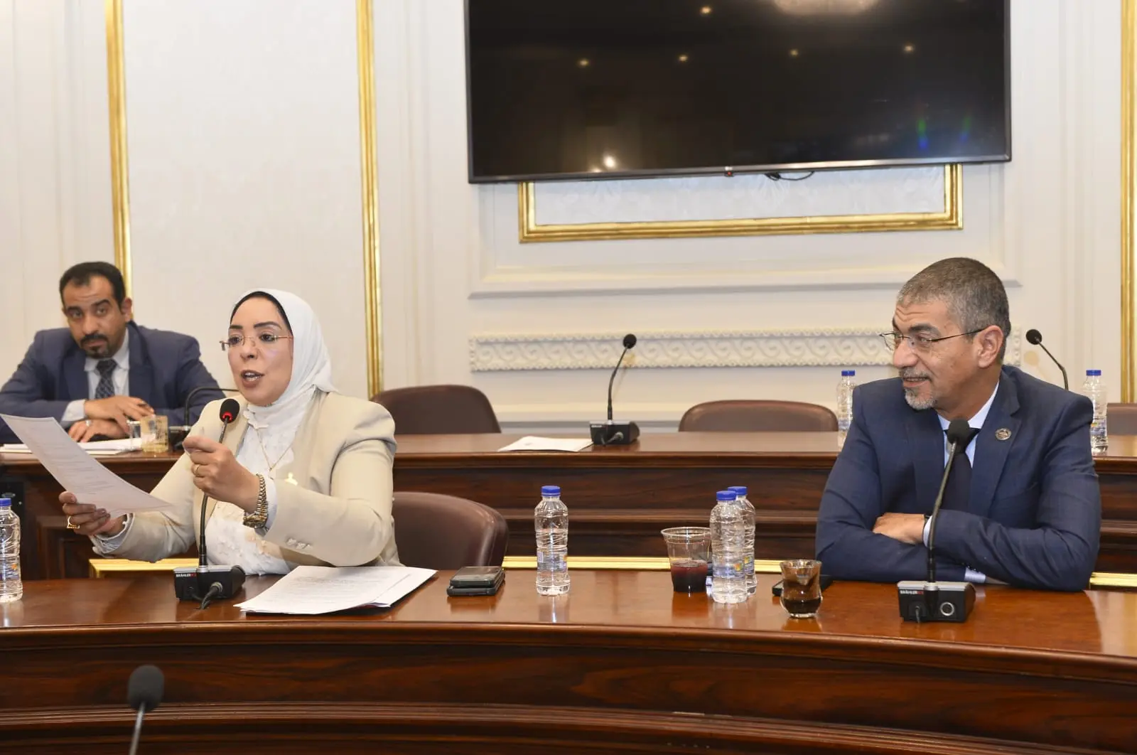النائبة وفاء رشاد تطالب بتوفير علاج الهيموفيليا في مراكز قنا وتخفيف معاناة المرضى - 1000521093