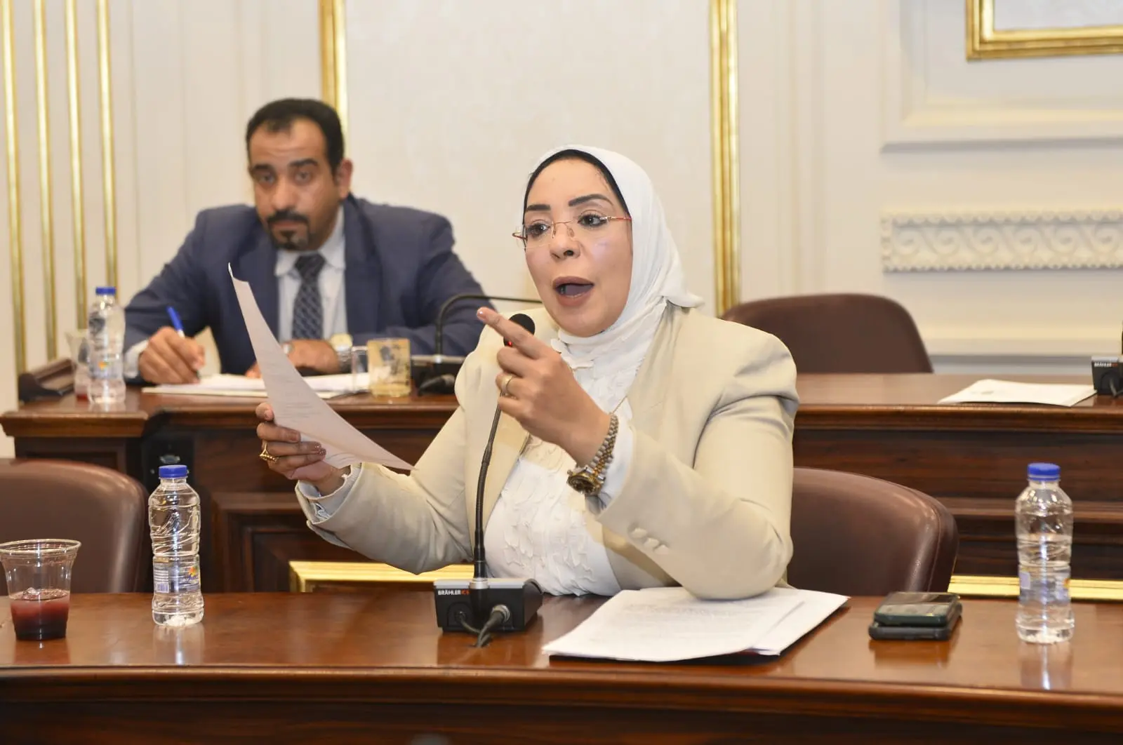 النائبة وفاء رشاد تطالب بتوفير علاج الهيموفيليا في مراكز قنا وتخفيف معاناة المرضى - 1000521094