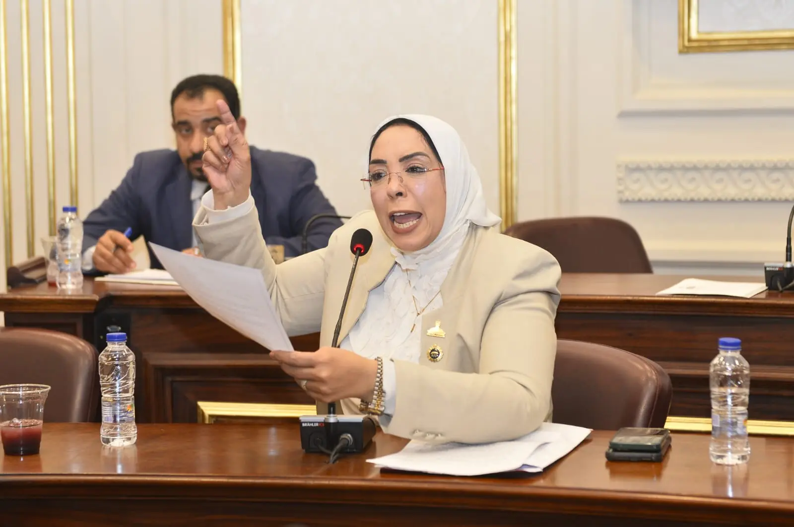 النائبة وفاء رشاد تطالب بتوفير علاج الهيموفيليا في مراكز قنا وتخفيف معاناة المرضى - 1000521095
