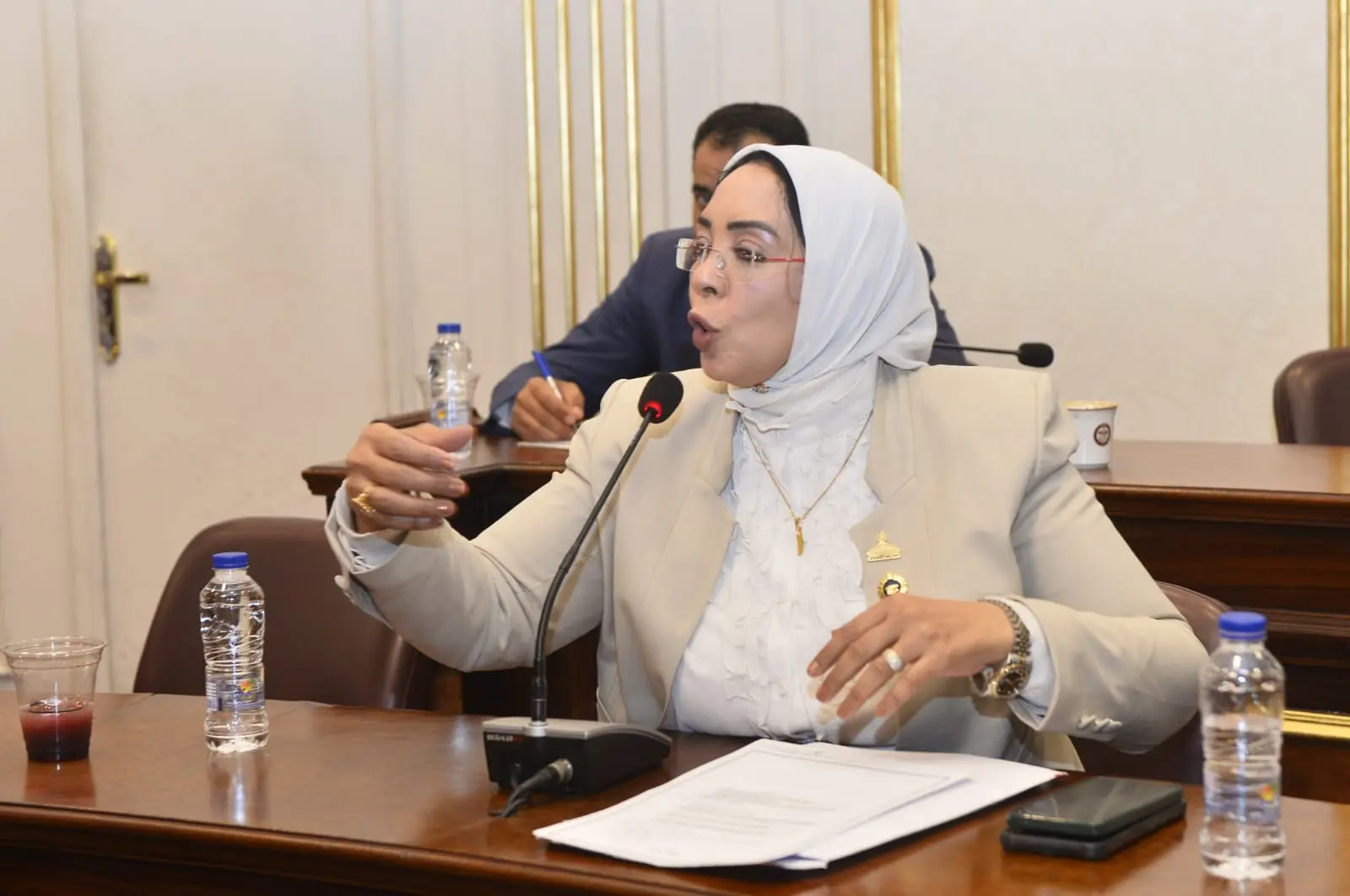 النائبة وفاء رشاد تطالب بتوفير علاج الهيموفيليا في مراكز قنا وتخفيف معاناة المرضى - 1000521096