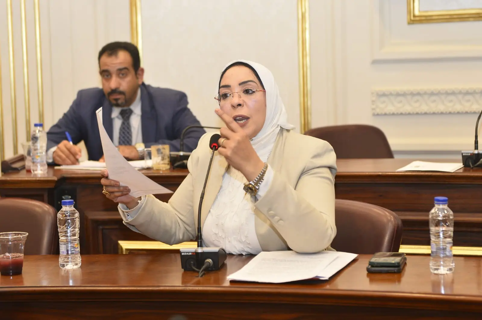 النائبة وفاء رشاد تطالب بتوفير علاج الهيموفيليا في مراكز قنا وتخفيف معاناة المرضى - 1000521098