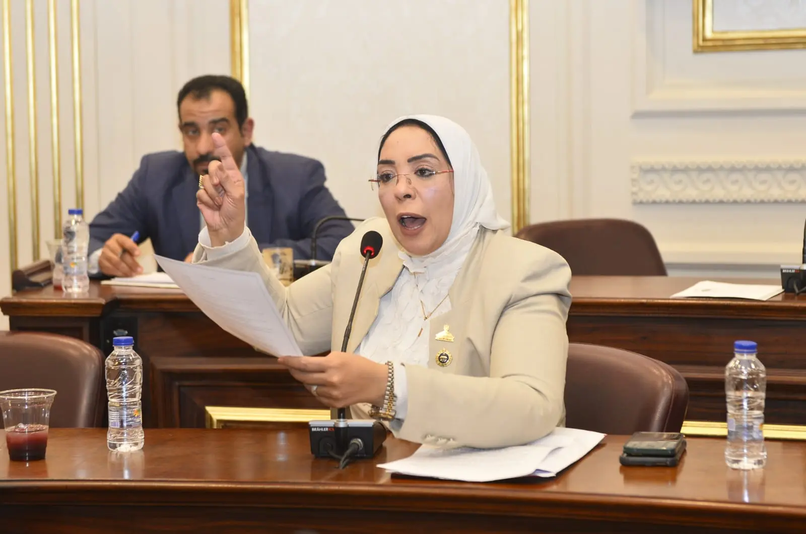 النائبة وفاء رشاد تطالب بتوفير علاج الهيموفيليا في مراكز قنا وتخفيف معاناة المرضى