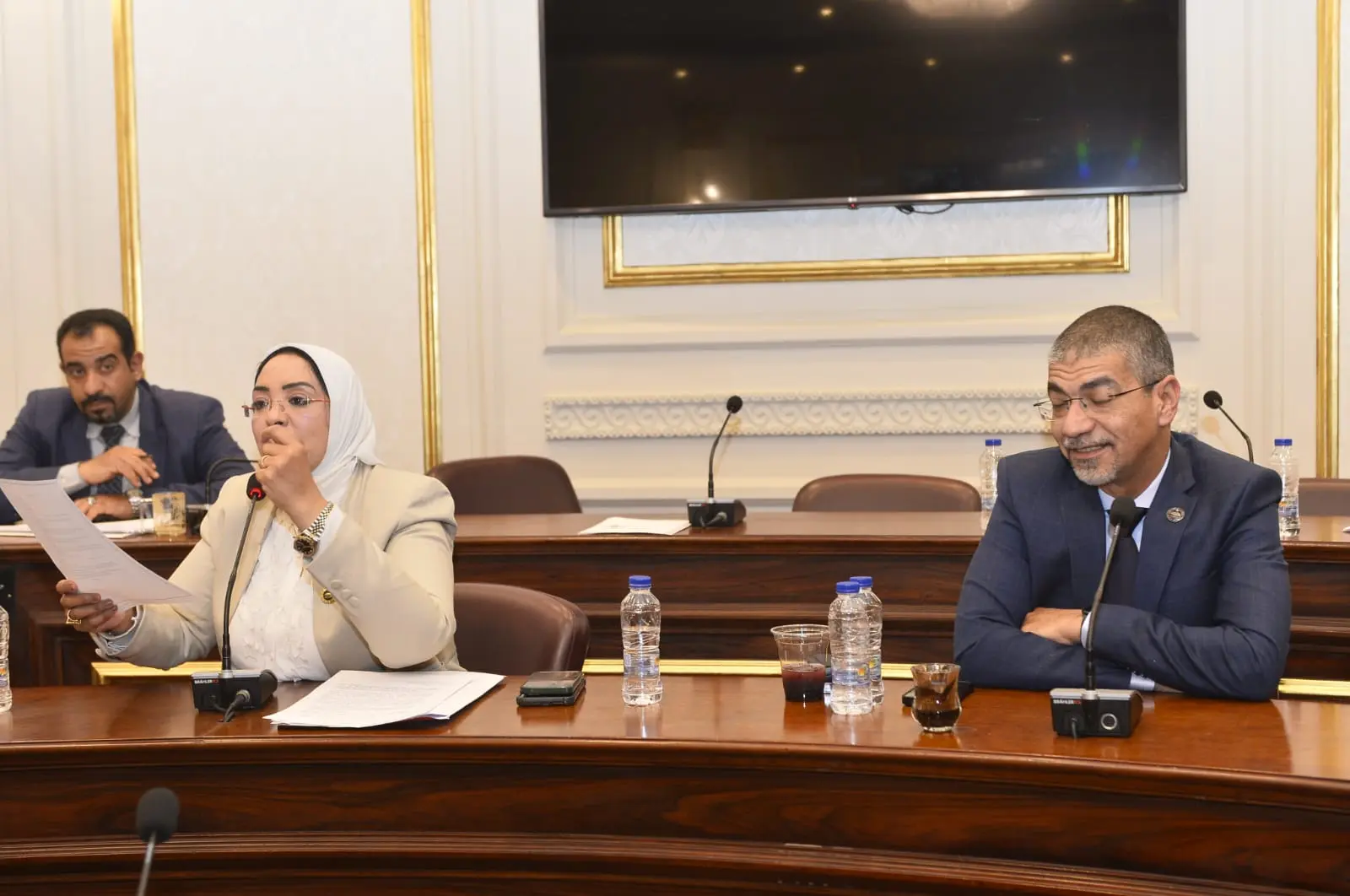 النائبة وفاء رشاد تطالب بتوفير علاج الهيموفيليا في مراكز قنا وتخفيف معاناة المرضى - 1000521100