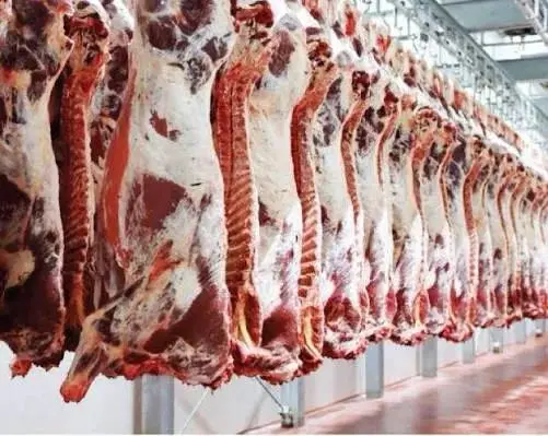الأسواق الأردنية تستقبل أول شحنة لحوم مبردة مصرية من الخراف والعجول