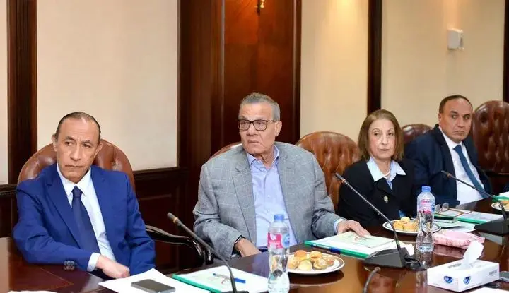 الأعلى للإعلام يوافق على منح 10 تراخيص جديدة لمواقع وتطبيقات إلكترونية - 1000552212