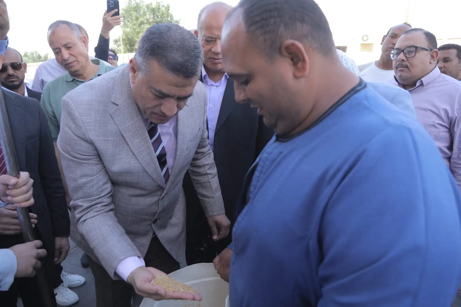 محافظ قنا يطلق إشارة بدء موسم حصاد القمح من قرية دندرة - 1000559822