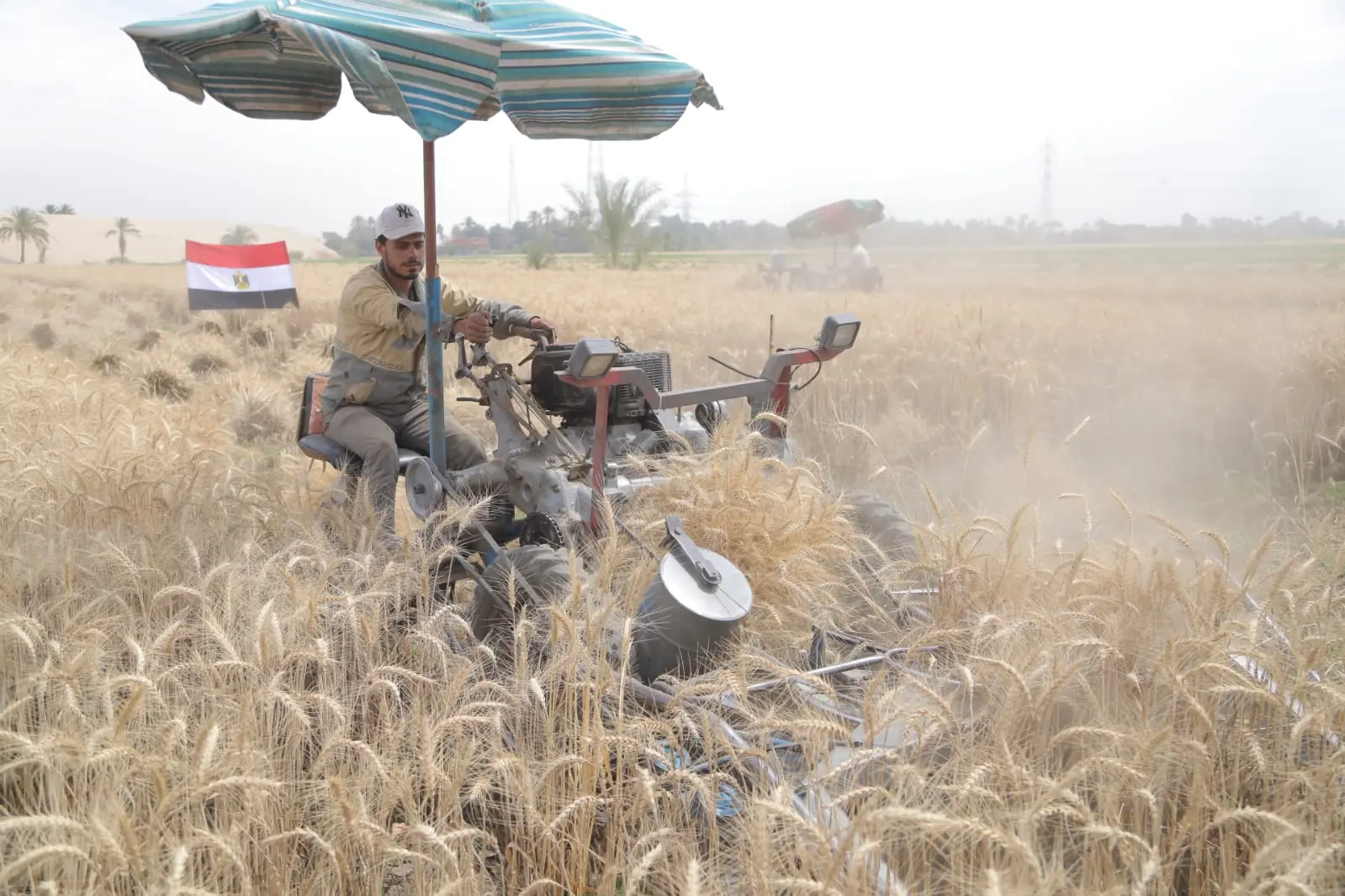 محافظ قنا يطلق إشارة بدء موسم حصاد القمح من قرية دندرة - 1000559850