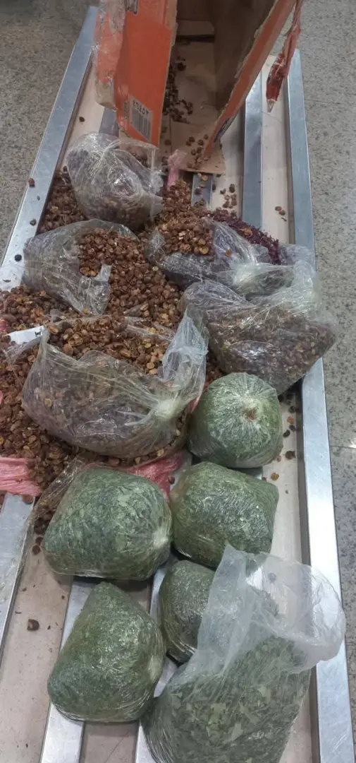 جمارك مطار القاهرة تحبط محاولة تهريب مخدر القات داخل قشور بن وكركديه