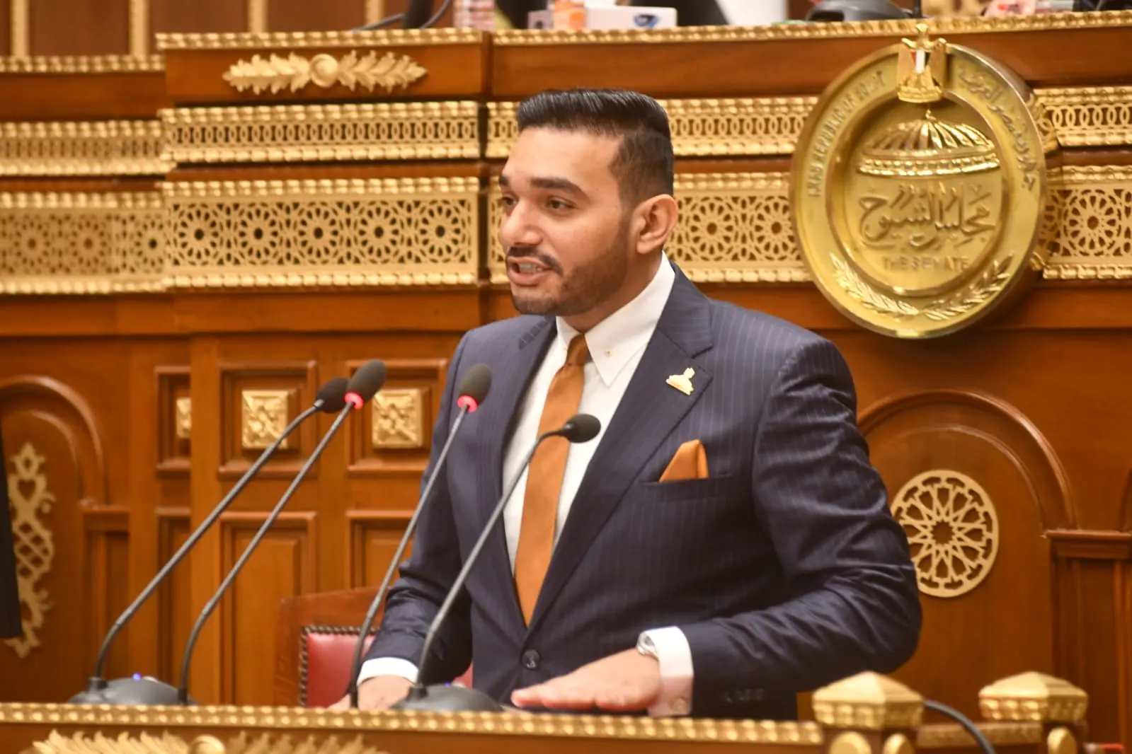 مجلس الشيوخ يناقش طلب نائب «الشعب الجمهوري» نشأت حتة حول آليات الحكومة لتطوير مراكز الشباب - 1000566538
