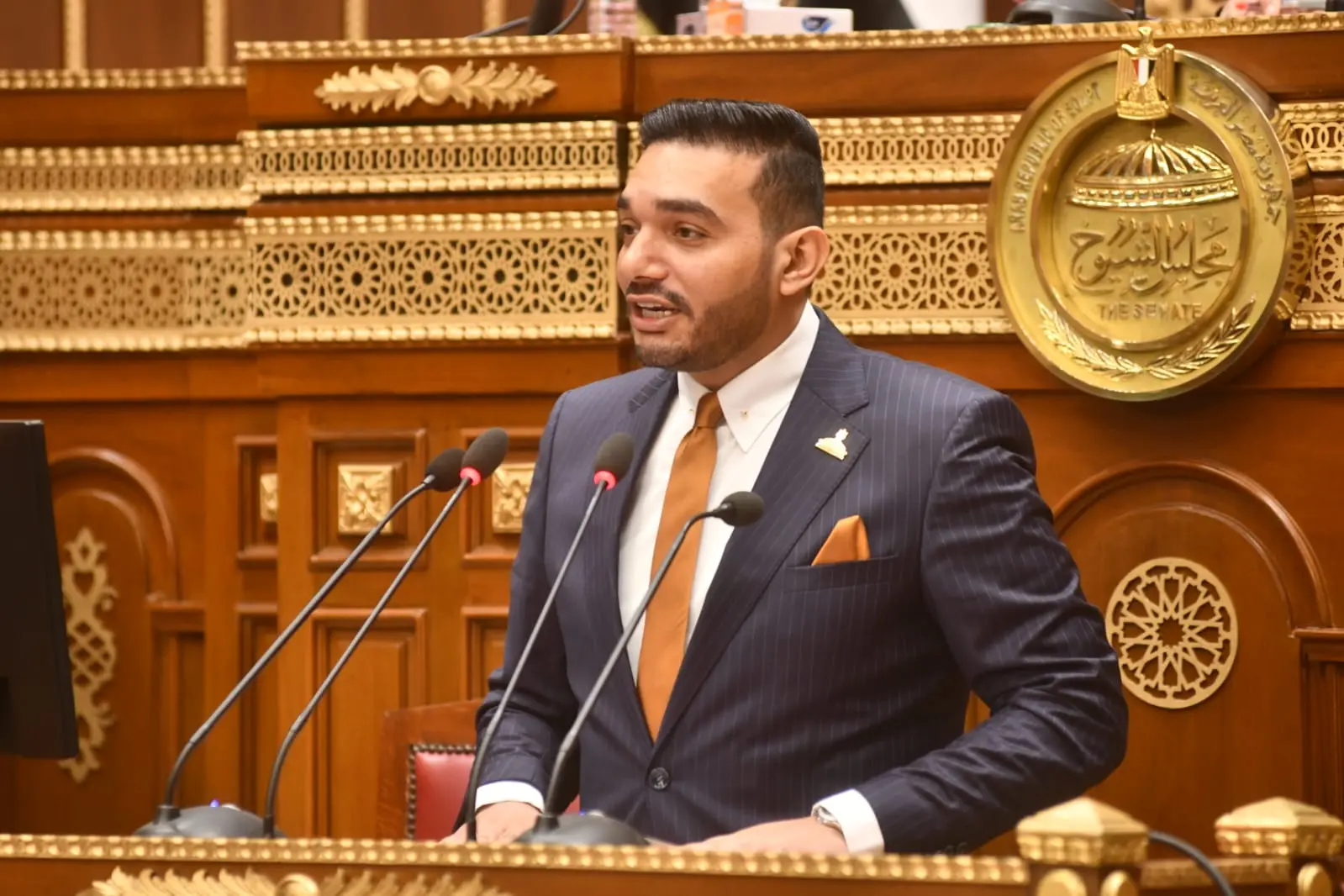 مجلس الشيوخ يناقش طلب نائب «الشعب الجمهوري» نشأت حتة حول آليات الحكومة لتطوير مراكز الشباب - 1000566541