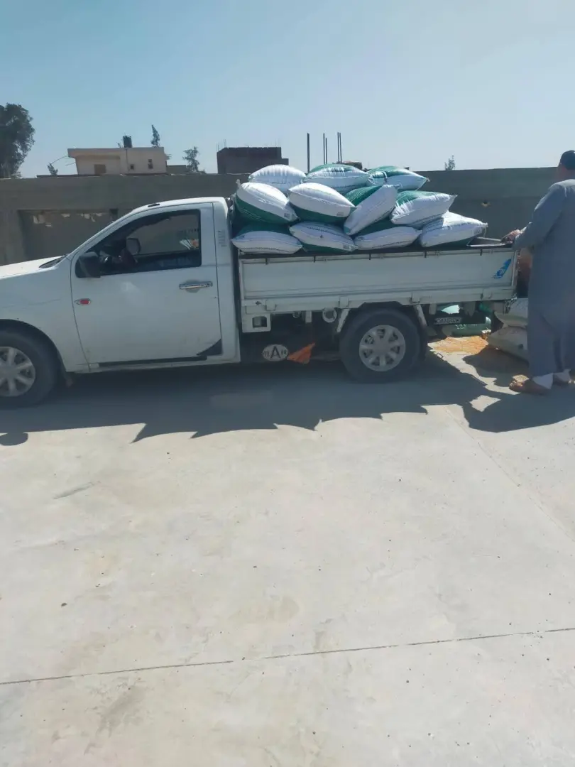 البحيرة تواصل توريد القمح بإجمالي 7360 طنًا وسط انتظام ملحوظ في الاستلام - 1000567398