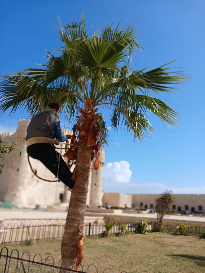 آثار الإسكندرية تعلن جاهزية "قلعة قايتباي" لاستقبال الزائرين خلال عيد الفطر المبارك - 1000581598