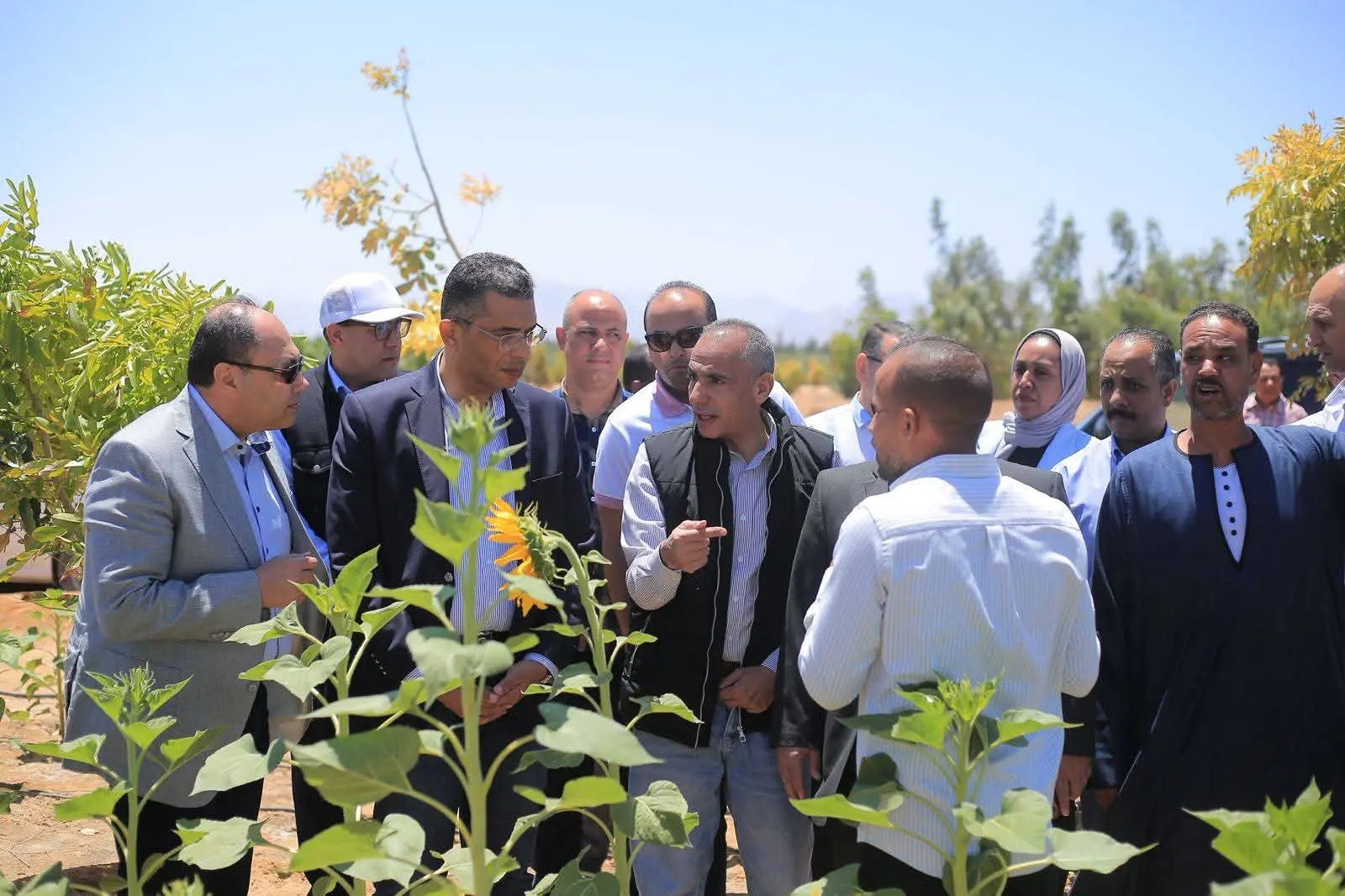 وضع حجر الأساس للمرحلة الثالثة من مشروع الجوجوبا بالغردقة - 1000595441