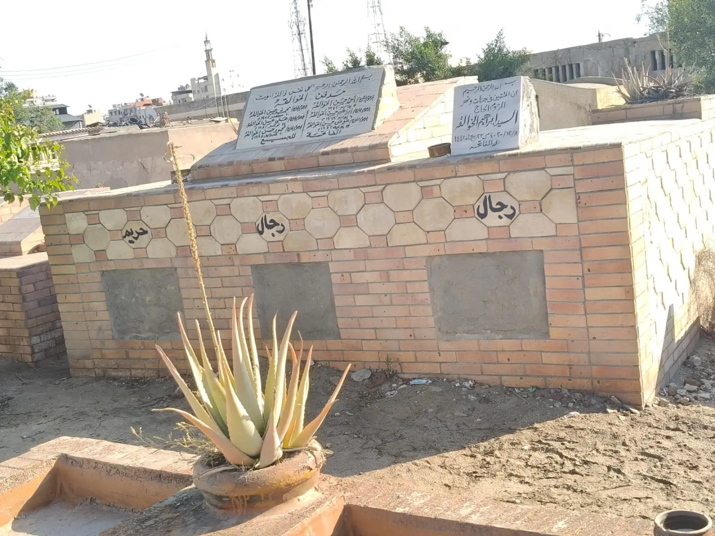 "سرنجات وطلاسم وآثار مخدرات".. "الخبر لايف" يكشف أسرار صادمة داخل مقابر أبو الريش بدمنهور - 1000597629